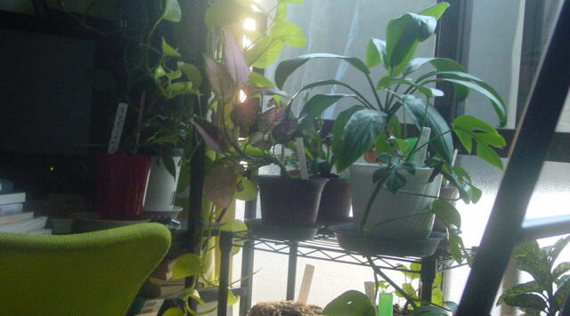 Black and White Photography