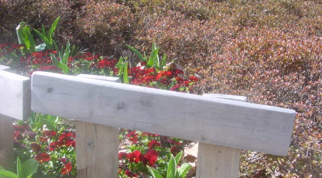 Black and White Photography